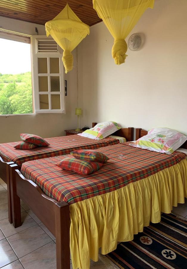 Hebergement Mouchas F4 - Dans Villa Les Polycias 圣吕斯 外观 照片